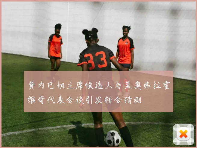 费内巴切主席候选人与莱奥弗拉霍维奇代表会谈引发转会猜测